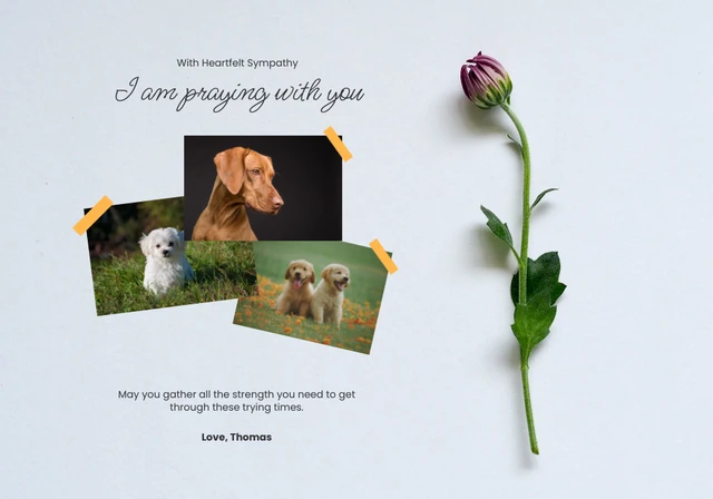 Flower heartfelt pet sympathy card Template