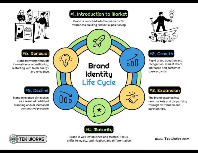 Modelo de infográfico do ciclo de vida da marca