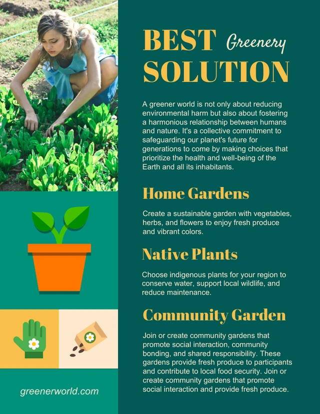 Dark Green Modern Photo Collage Solution Environment Infographic Template