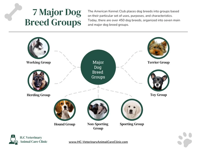 Modèle de carte à bulles photographique pour les principaux groupes de races de chiens