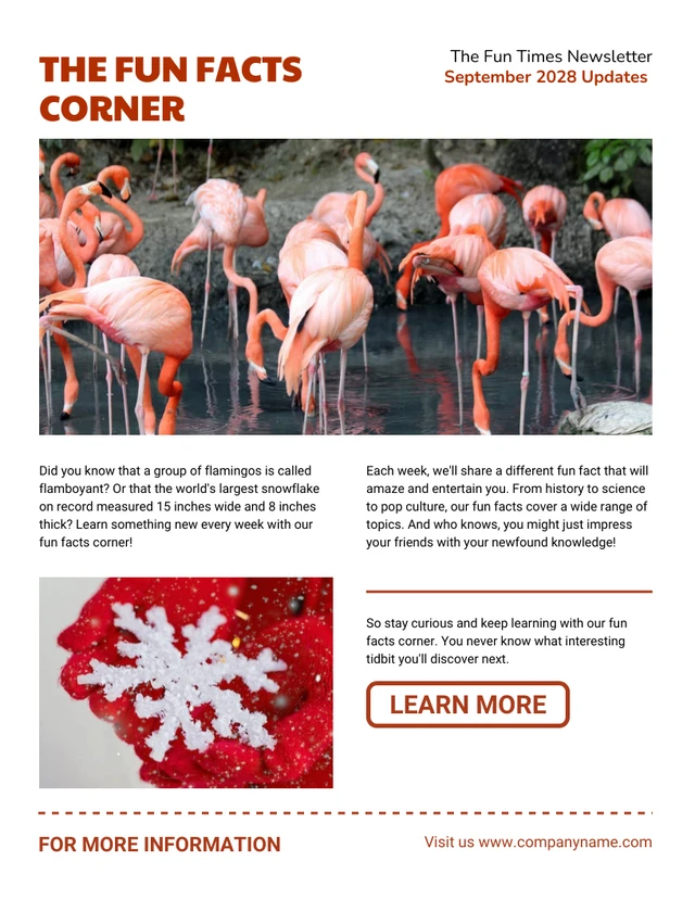 White And Red Simple Fun Facts Event Newsletter