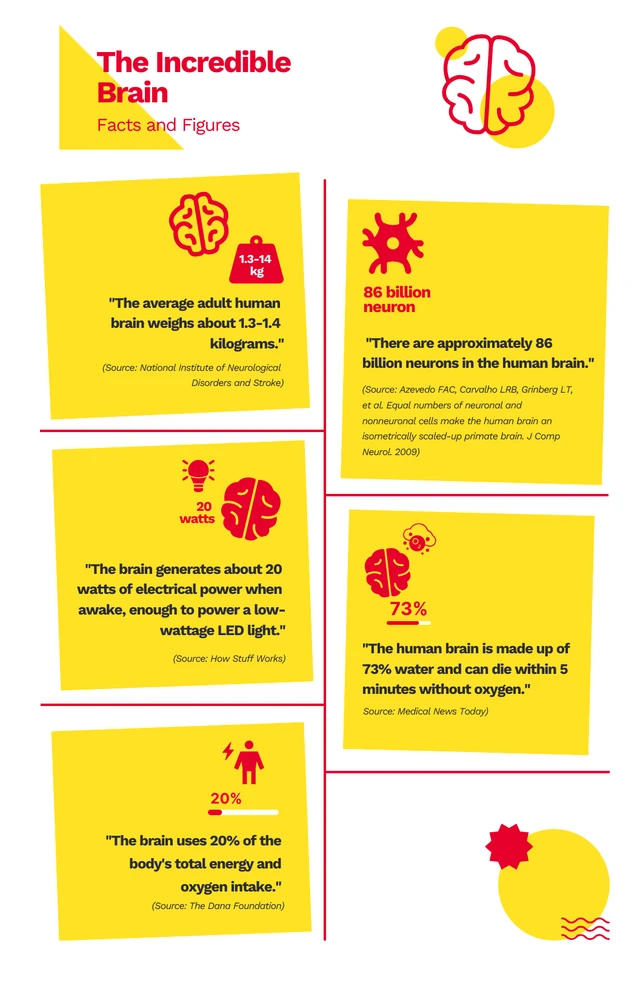 Simple Yellow And Red Brain Infographic Template