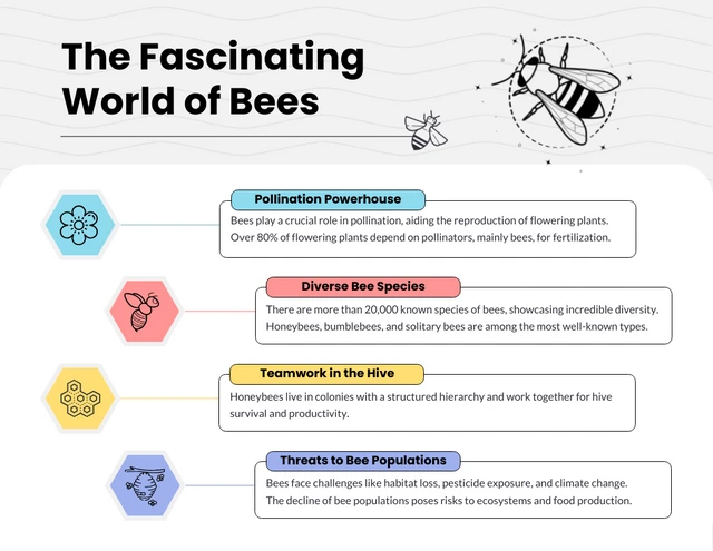 Modello infografico alla scoperta dell'affascinante mondo delle api