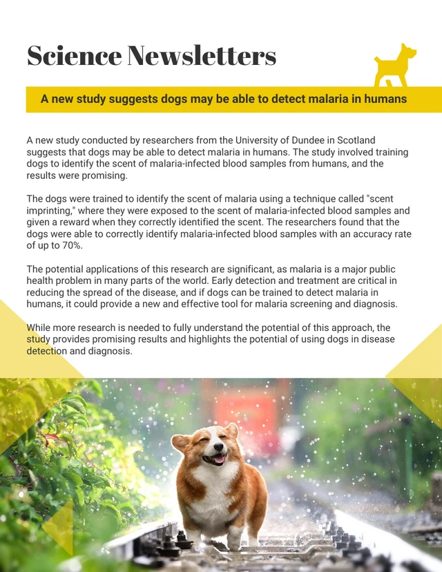 White And Yellow Simple Fun School Science Newsletter