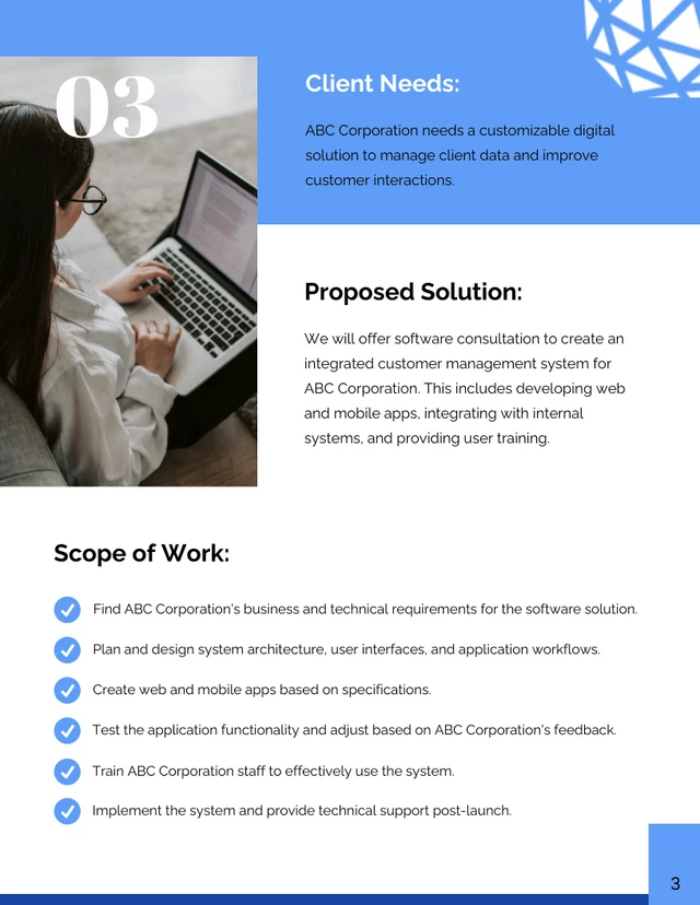 Strategic Software Consulting Proposal - Page 3