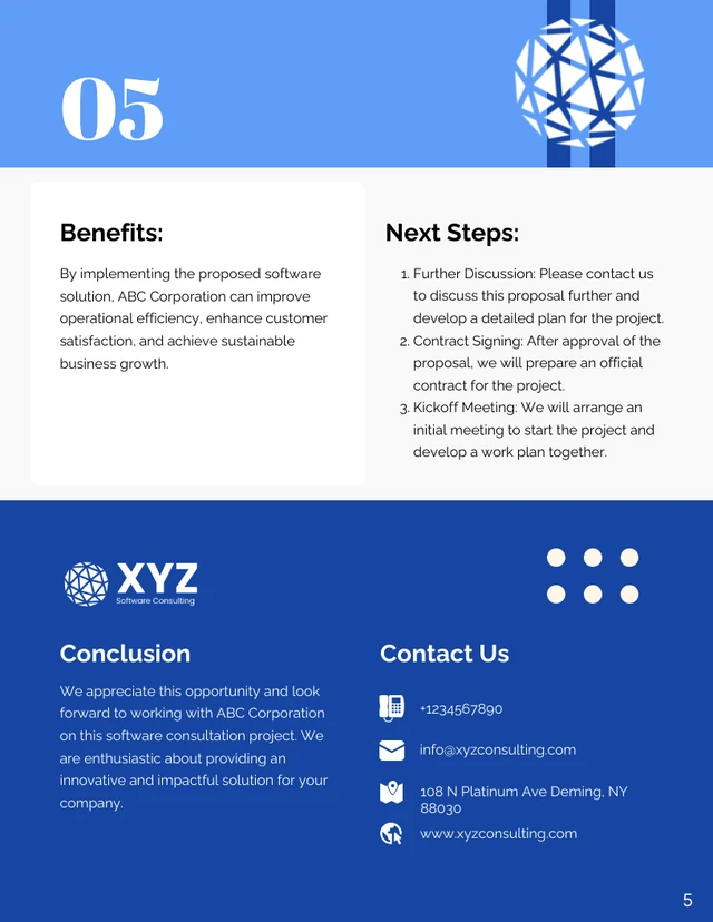 Strategic Software Consulting Proposal - page 5