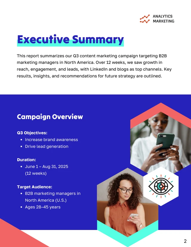 Content Marketing Campaign Performance Report - page 2