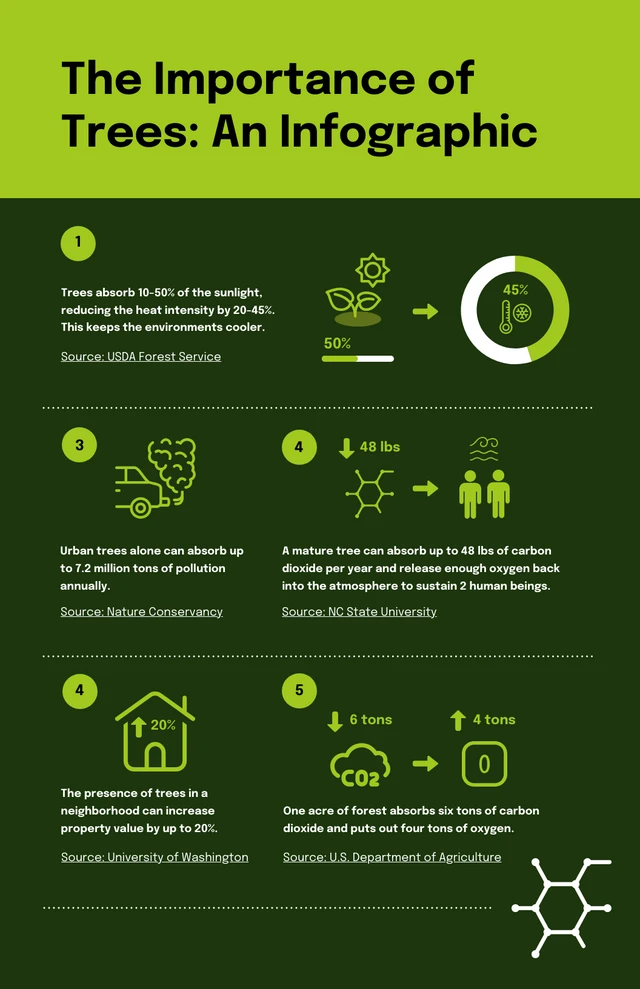 Green And Brown Tree Infographic Template