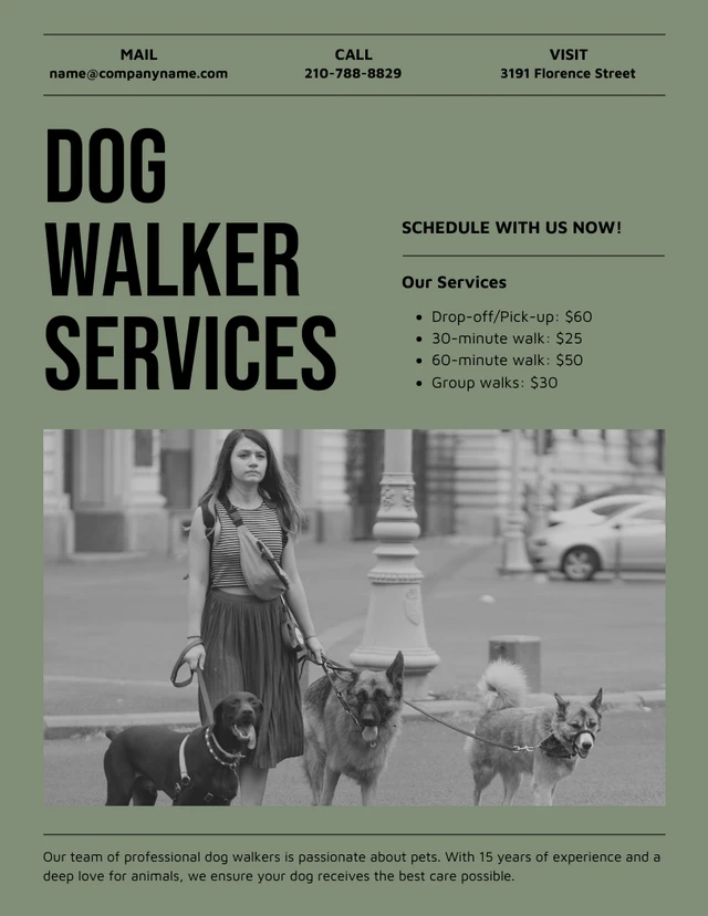 Simple Khaki Green and Black Dog Walker Flyer Template