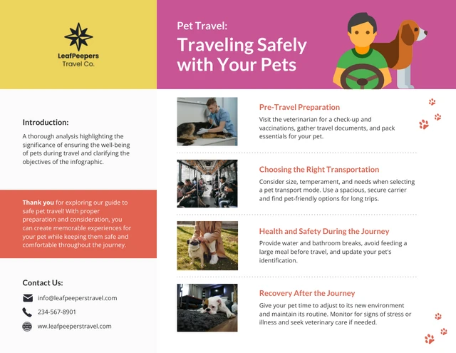 Modello infografico Viaggiare in sicurezza con i tuoi animali domestici