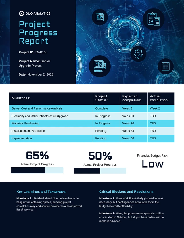 Blue Project Summary Progress Report Template