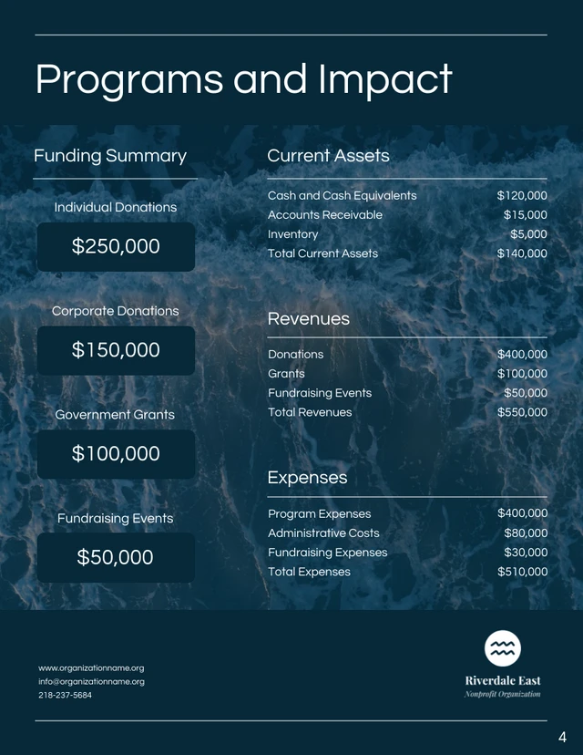 Dark Blue Ocean Annual Charity Reports - page 4