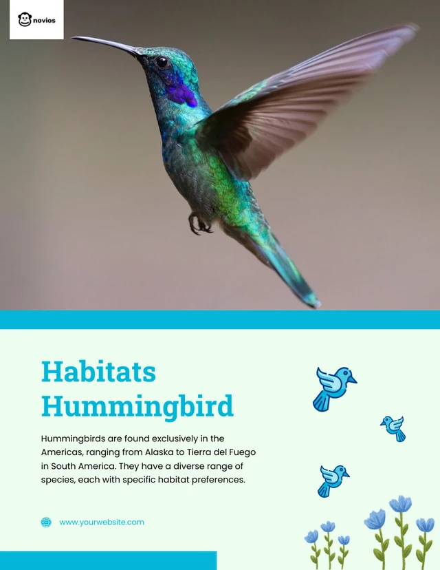 Hummingbird Natural Habitat Blue Flyer Template