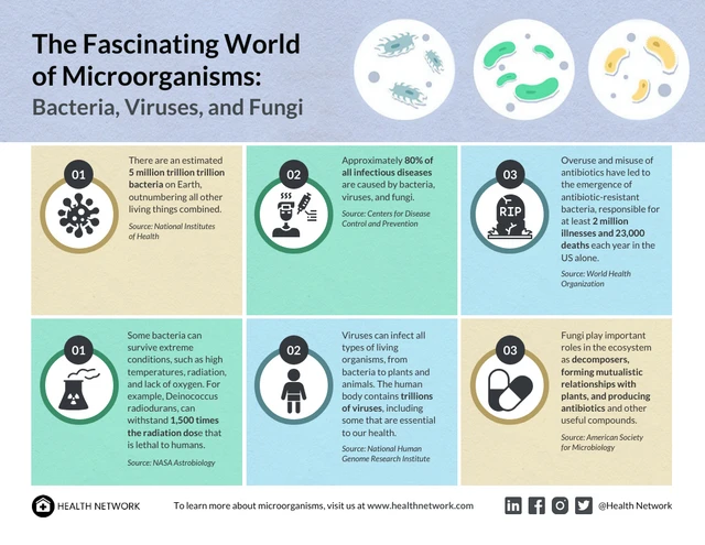 The Fascinating World of Microorganisms (O Fascinante Mundo dos Microorganismos): Bactérias, vírus e fungos