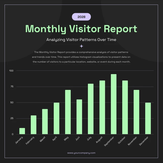 Black Monthly Visitor Report Histogram Charts Template