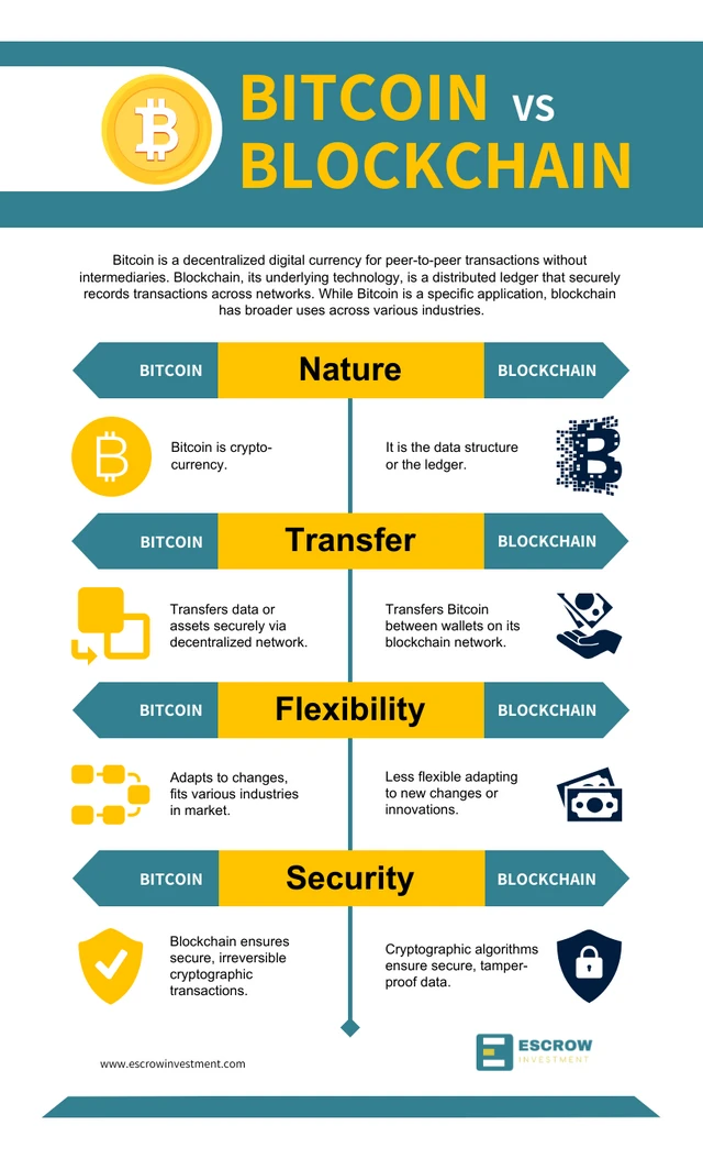 Plantilla de Infografía de Comparación de Blockchain