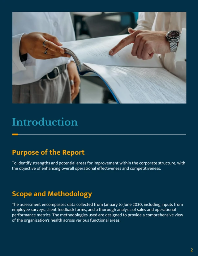 Organizational Health Assessment Template - Page 2