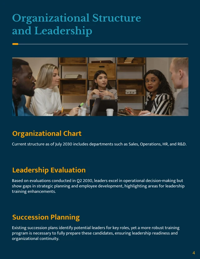 Organizational Health Assessment Template - Page 4