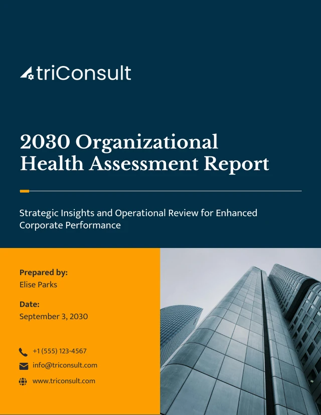 Organizational Health Assessment Template - page 1