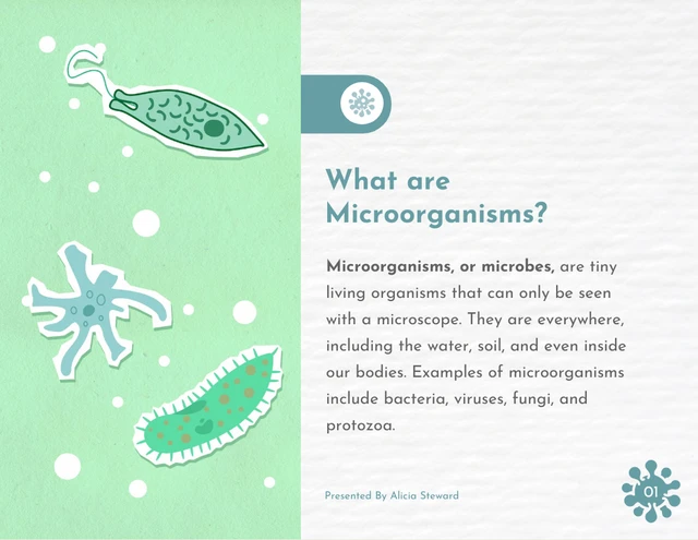 Simple Cute Colorful Microorganism Animated Presentation - Page 2