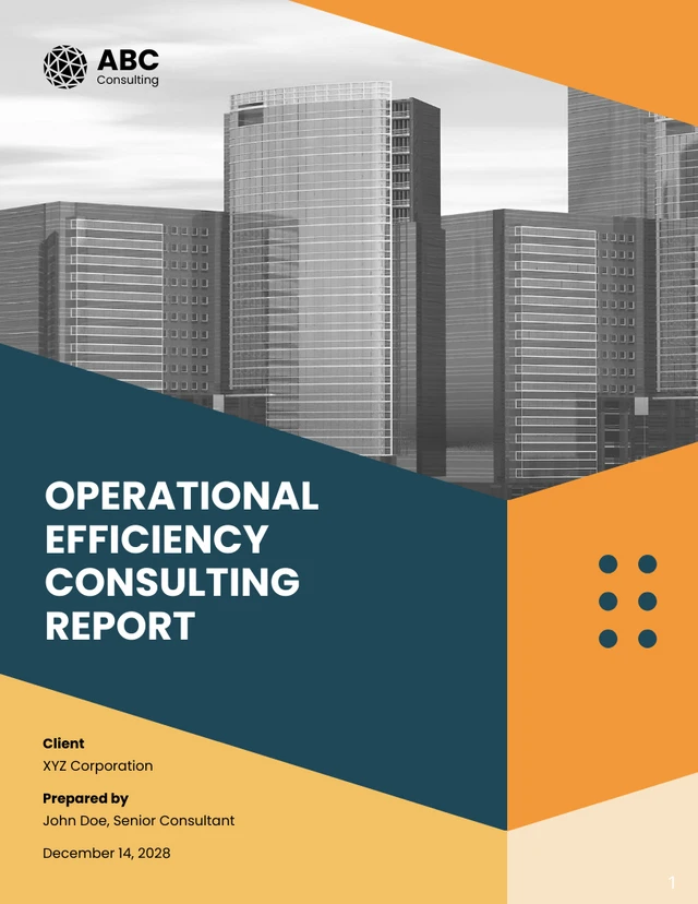 Operational Efficiency Consulting Report - Page 1