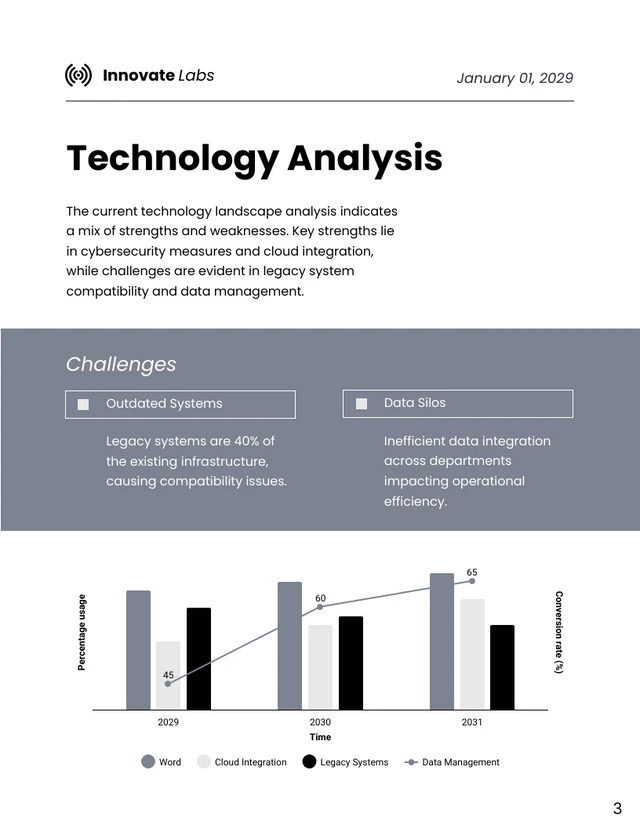 Technology Consulting Report - Page 3