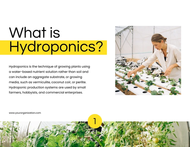 Simple White and Yellow Hydroponic Program Presentation - Page 2