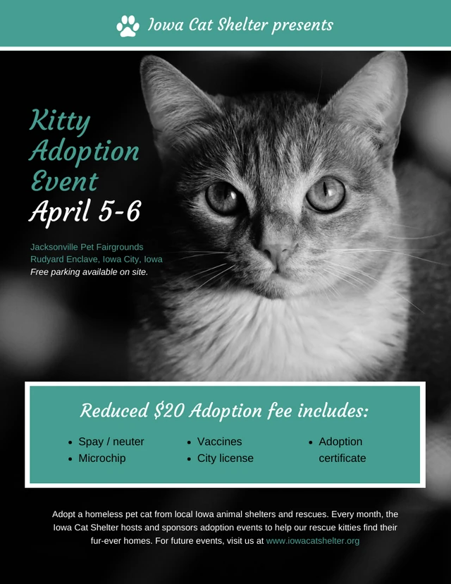 Nonprofit Cat Adoption Event Poster