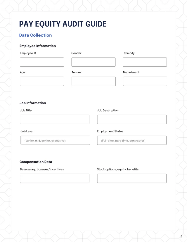 Pay Equity Audit Template - Seite 2