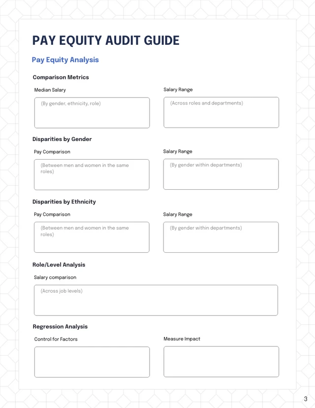 Pay Equity Audit Template - Seite 3