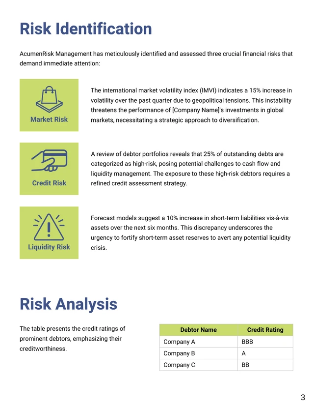 Financial Risk Assessment Report - Page 3