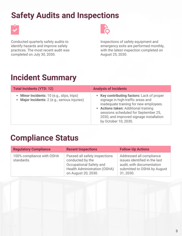 Workplace Safety Overview Report Template - Página 3