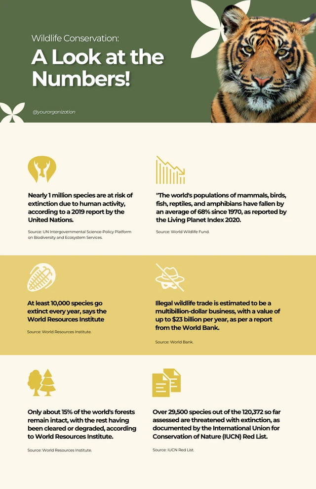 Einfache Wildlife-Infografik-Vorlage in Grün und Gelb