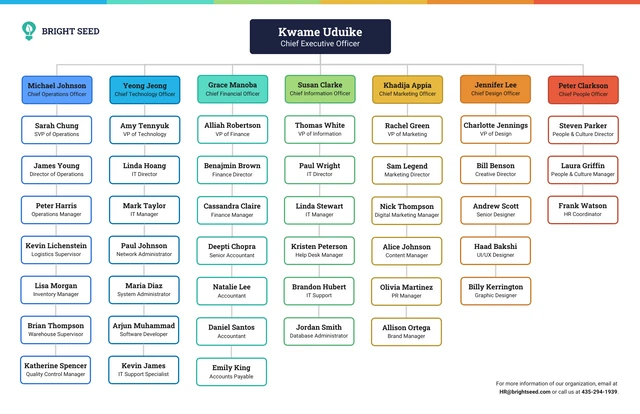 Modèle d'organigramme d'entreprise