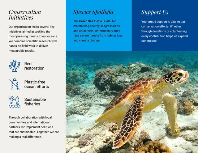 Ocean Brochure Template - Página 2