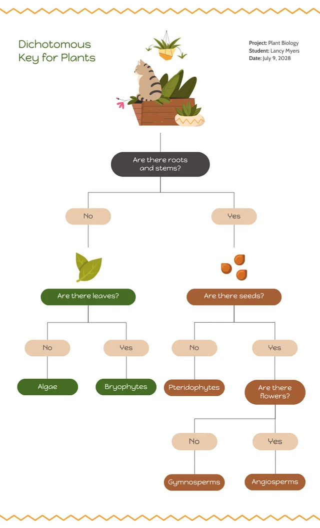 Plant Biology Dichotomous Key template