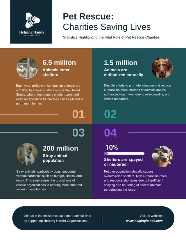Modelo de infográfico como instituições de caridade salvam animais de estimação