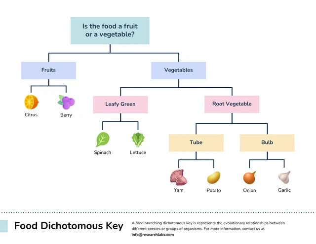 Pastel Food Branching Tree Dichotomous Key template