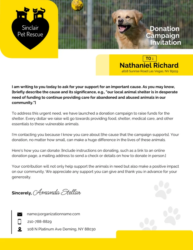 White And Yellow Pet Shelter Donation Campaign Letterhead