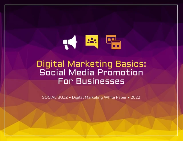 Digital Marketing Social Media Promotion White Paper - صفحة 1