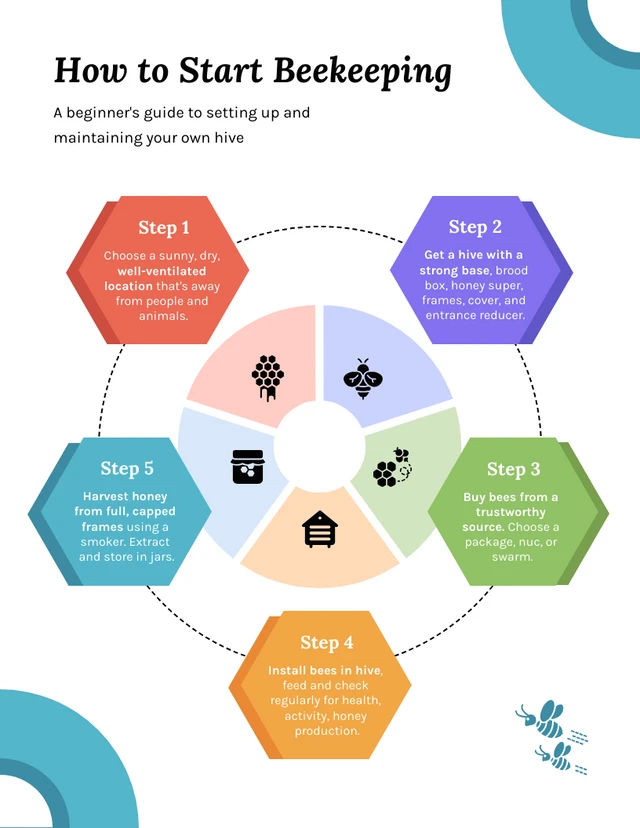 Beginner's Guide to Beekeeping Infographic Template